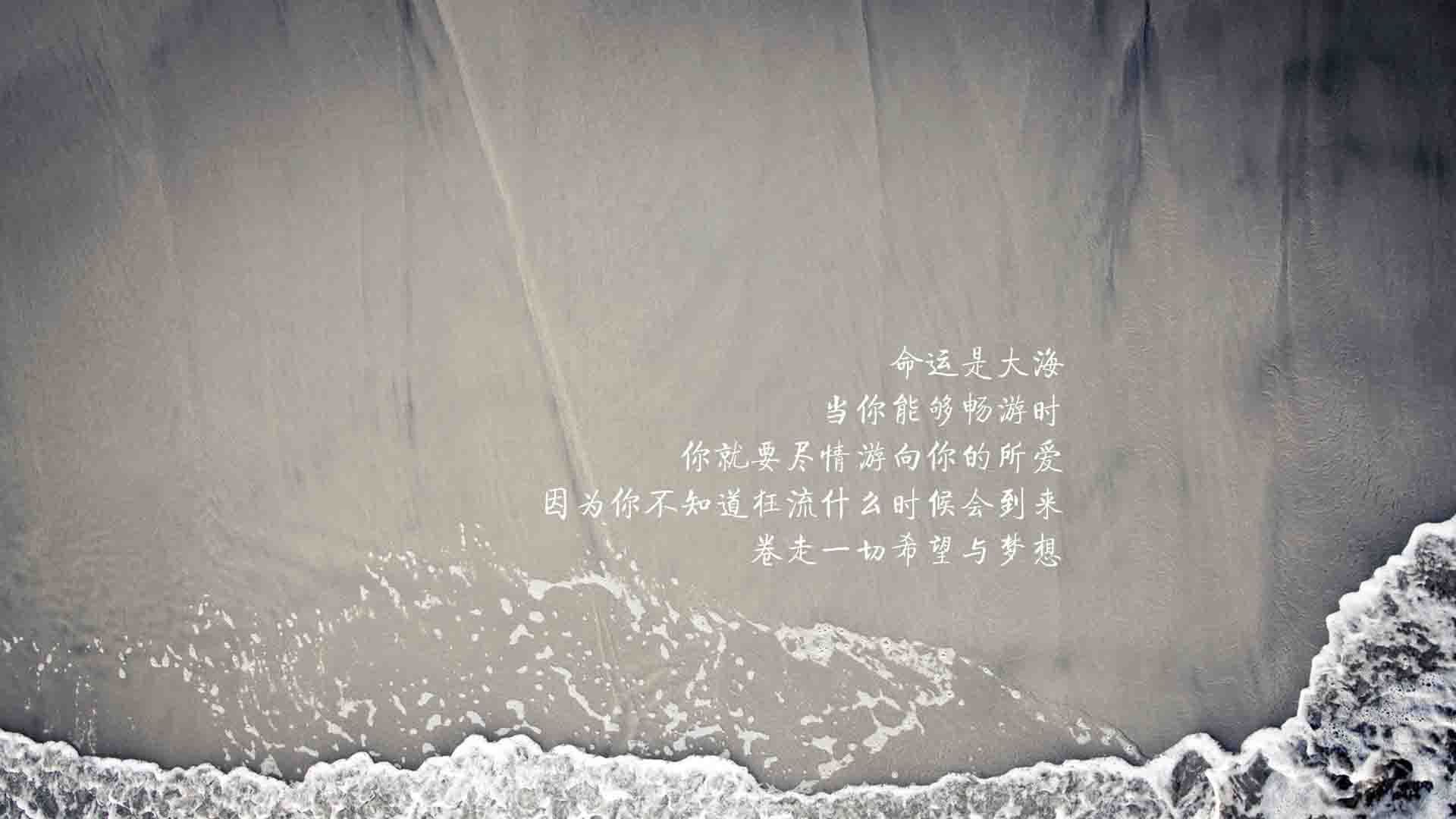 “影响力排行榜:联盟最具人气球星”,全联盟最高的球员