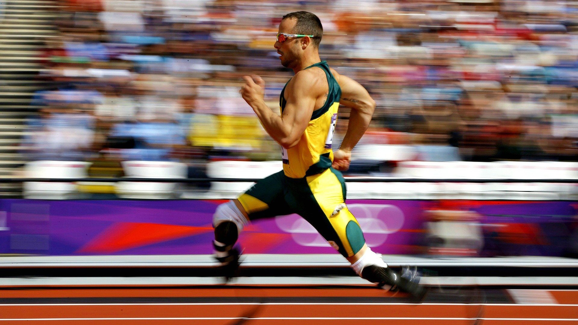 体育赛事志愿者招募活动，大型体育赛事志愿者的招募